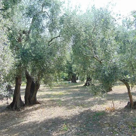 Appartamento In Villa Con Giardino Pizzomunno Vieste